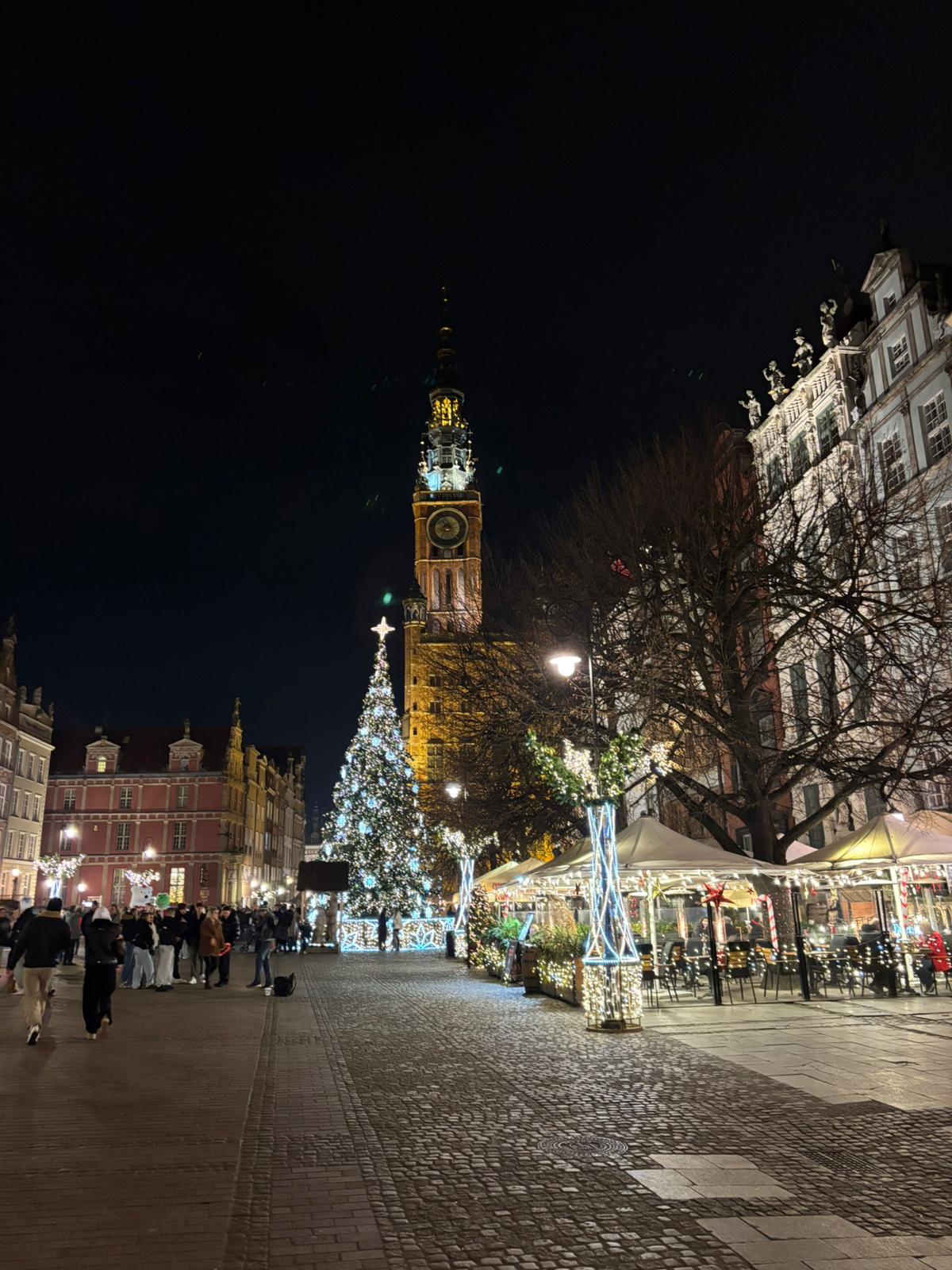 Christmas tree lit up on Long Street at night with the town hall behind