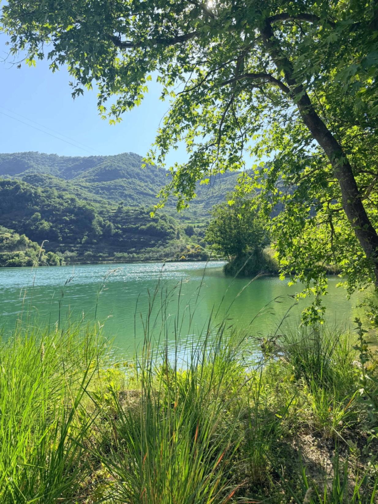 Roshnik