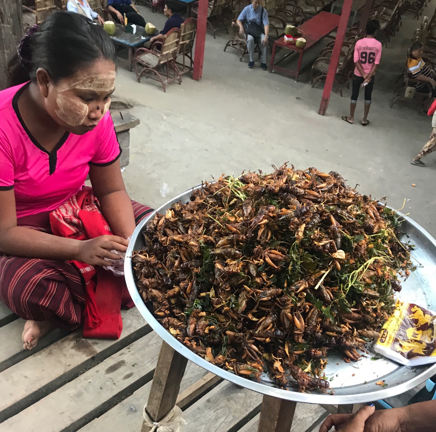 Woman selling a large tray of fried insects and cockroaches at a market